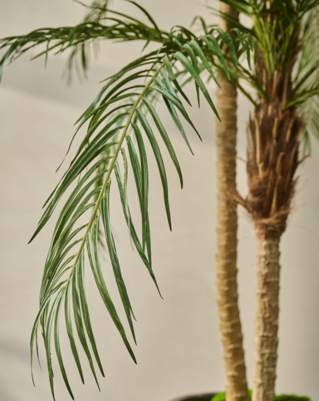 Detailaufnahme eines künstlichen Palmenwedels mit Faserstamm